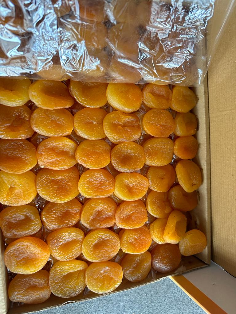 kayisi-kurusu-dried-apricot-turkey-turkiye